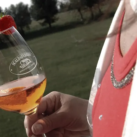 Hotel Scaldaferro 3*