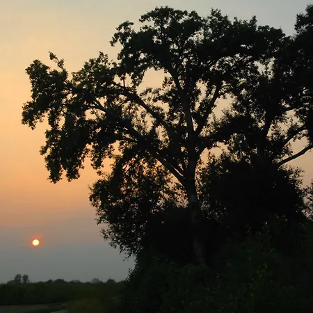 Hotel Scaldaferro Sandrigo