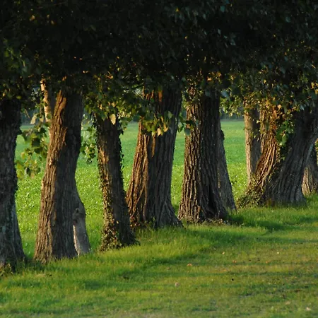 Hotel Scaldaferro 3*