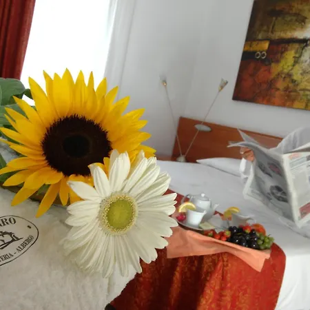 Scaldaferro Hotel Sandrigo