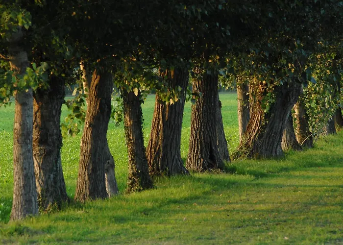 Hotel Scaldaferro 3*